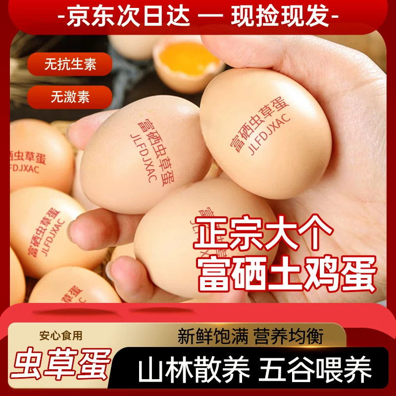 土鸡蛋50-55克大码笨鸡蛋现捡蛋乡村散养柴鸡蛋农家正宗新鲜鸡蛋