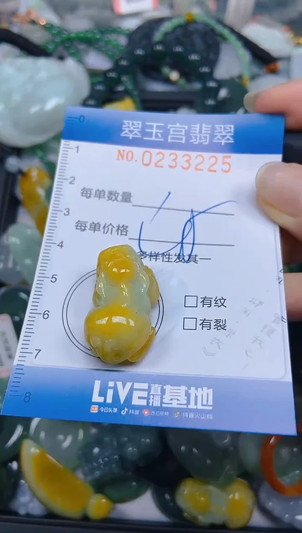 颈饰未镶嵌翡翠闪购C0233225