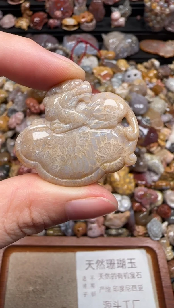 硅化珊瑚（珊瑚玉）未镶嵌颈饰660