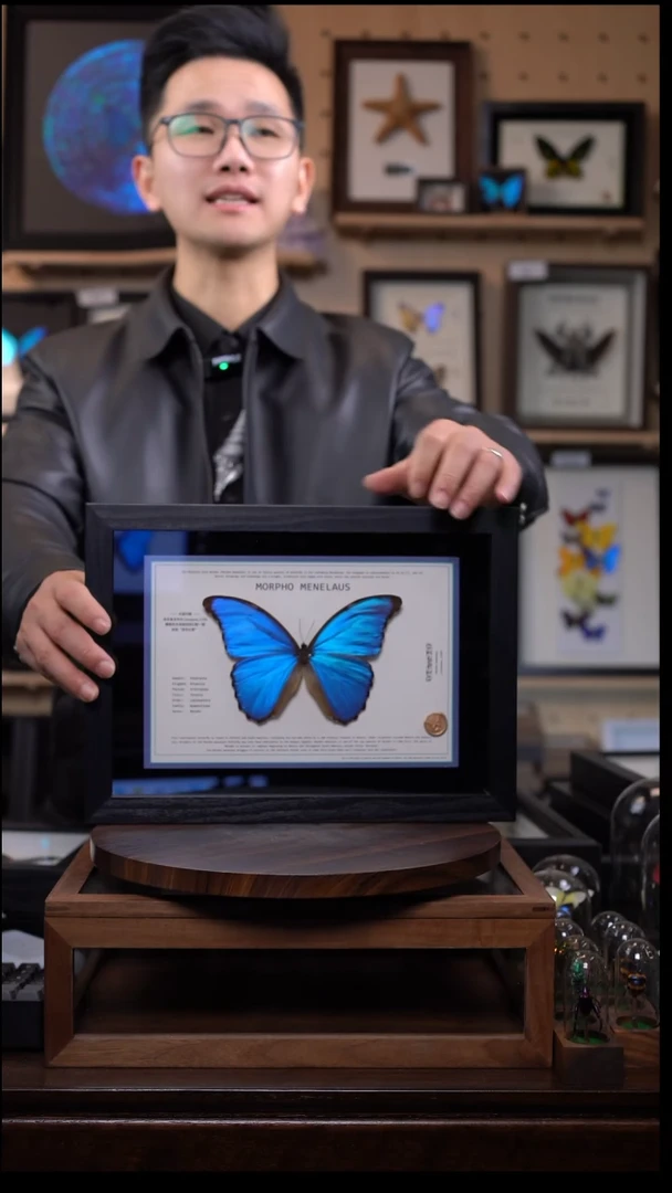 蓝闪悬浮款A4黑色平面框带证书