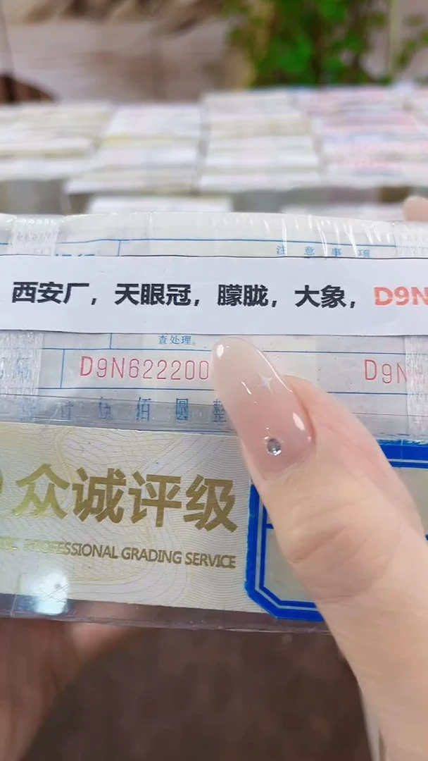 M，05，西安厂，天眼冠，朦胧，大象，D9N6222222