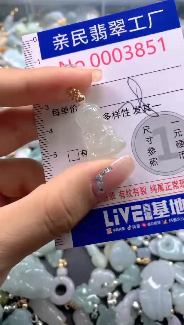 颈饰未镶嵌翡翠3851