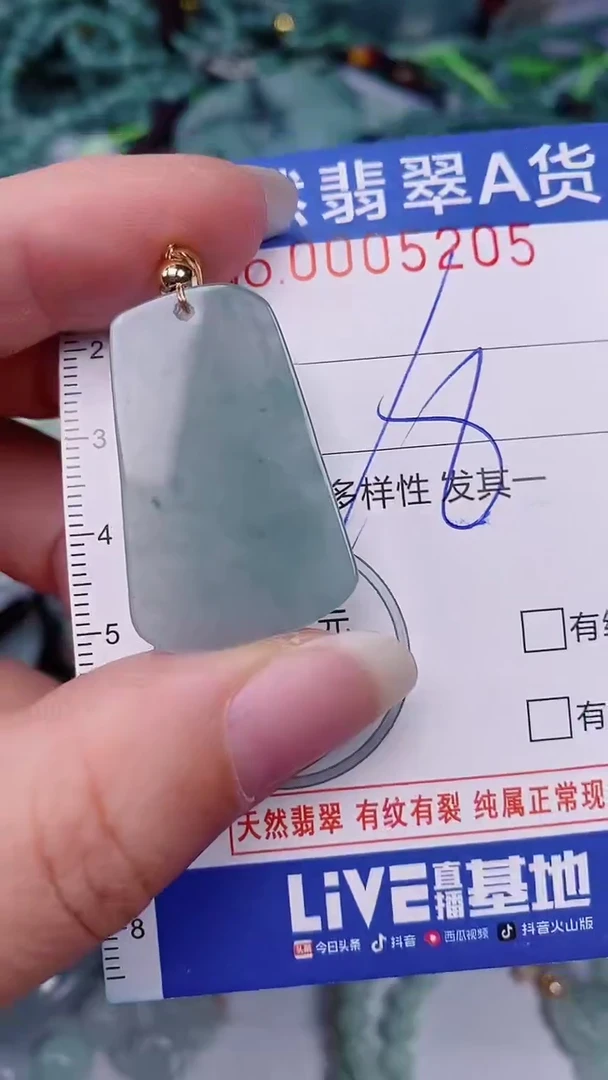 翡翠未镶嵌颈饰00005205