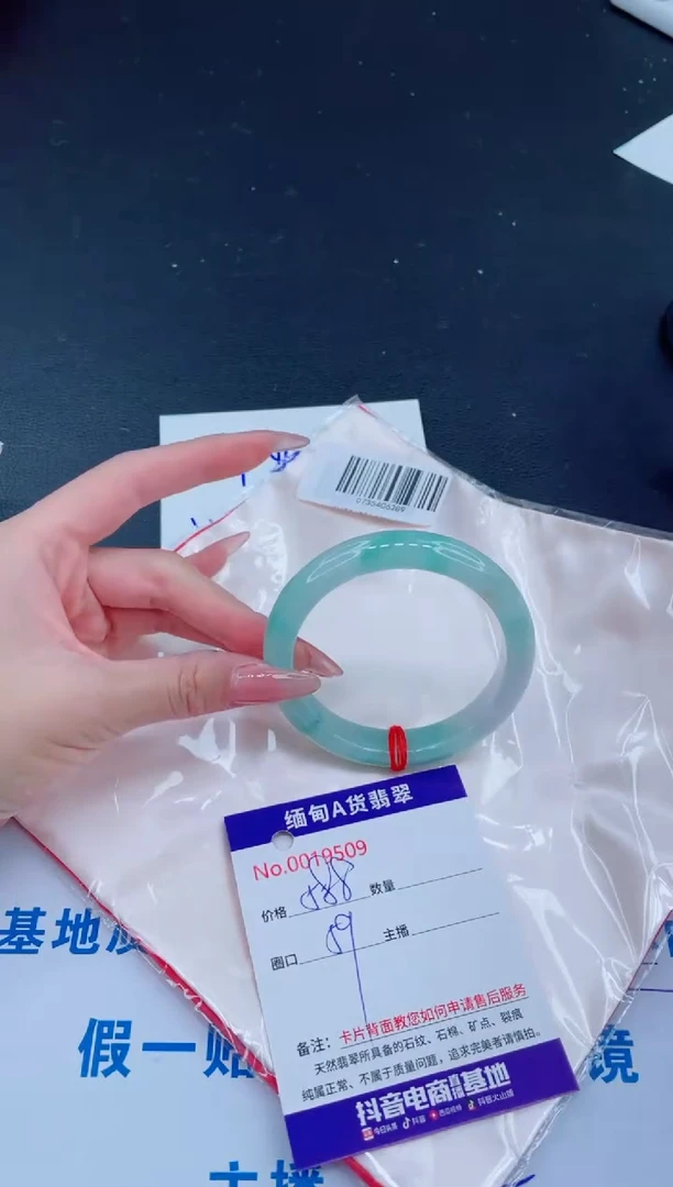 未镶嵌手镯翡翠.0