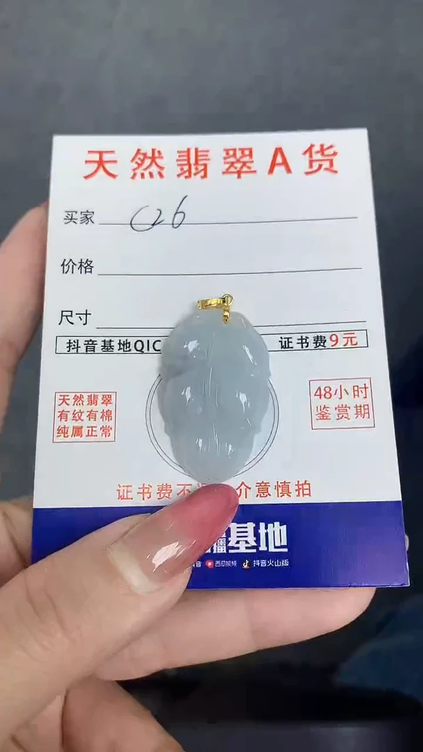 颈饰未镶嵌翡翠天然A货翡翠挂件