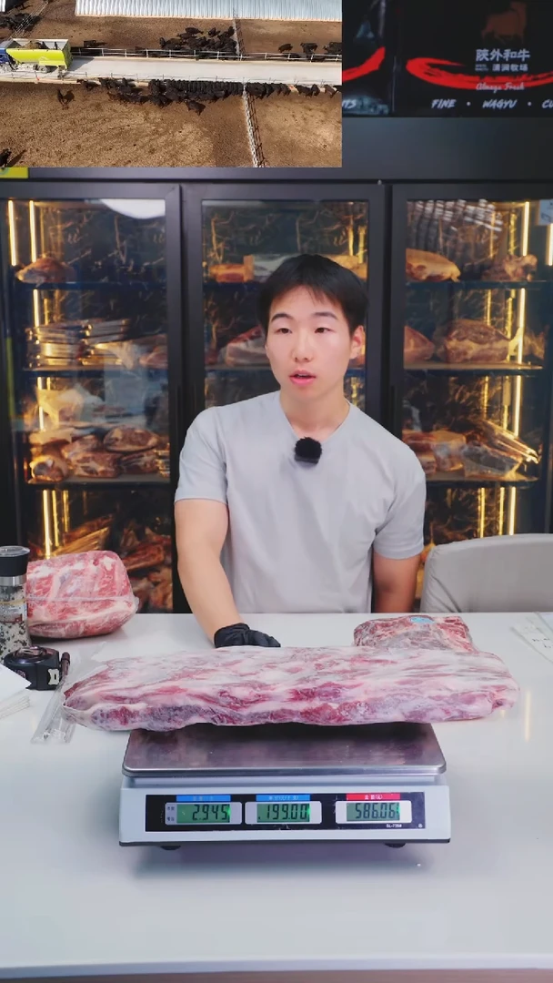 24中国大陆a1牛腩排 2.95kg