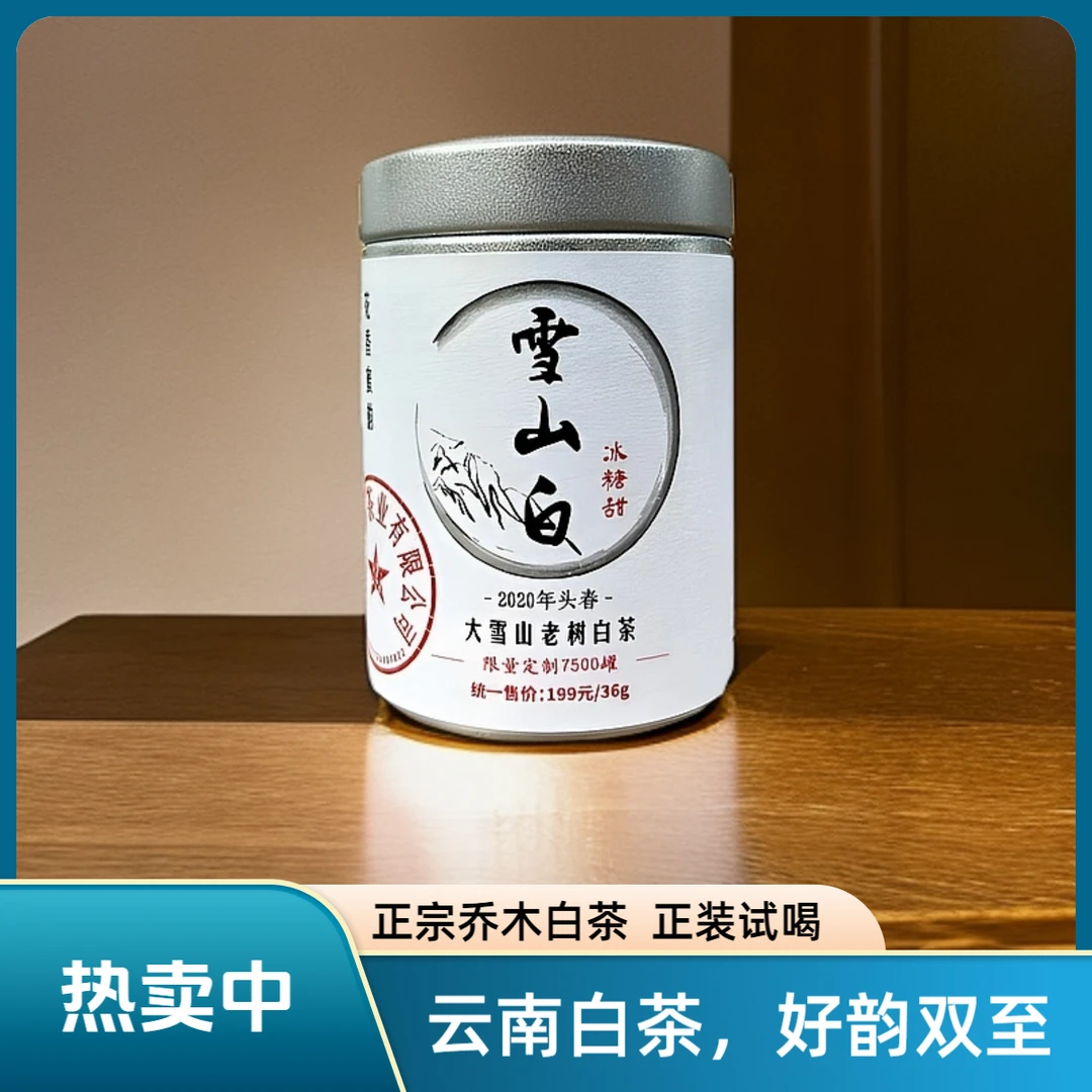 【白茶】正宗云南临沧2020年头春大雪山乔木老白茶  小罐装36g