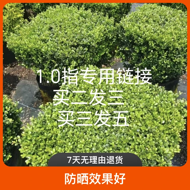 1.0防护网专用链接