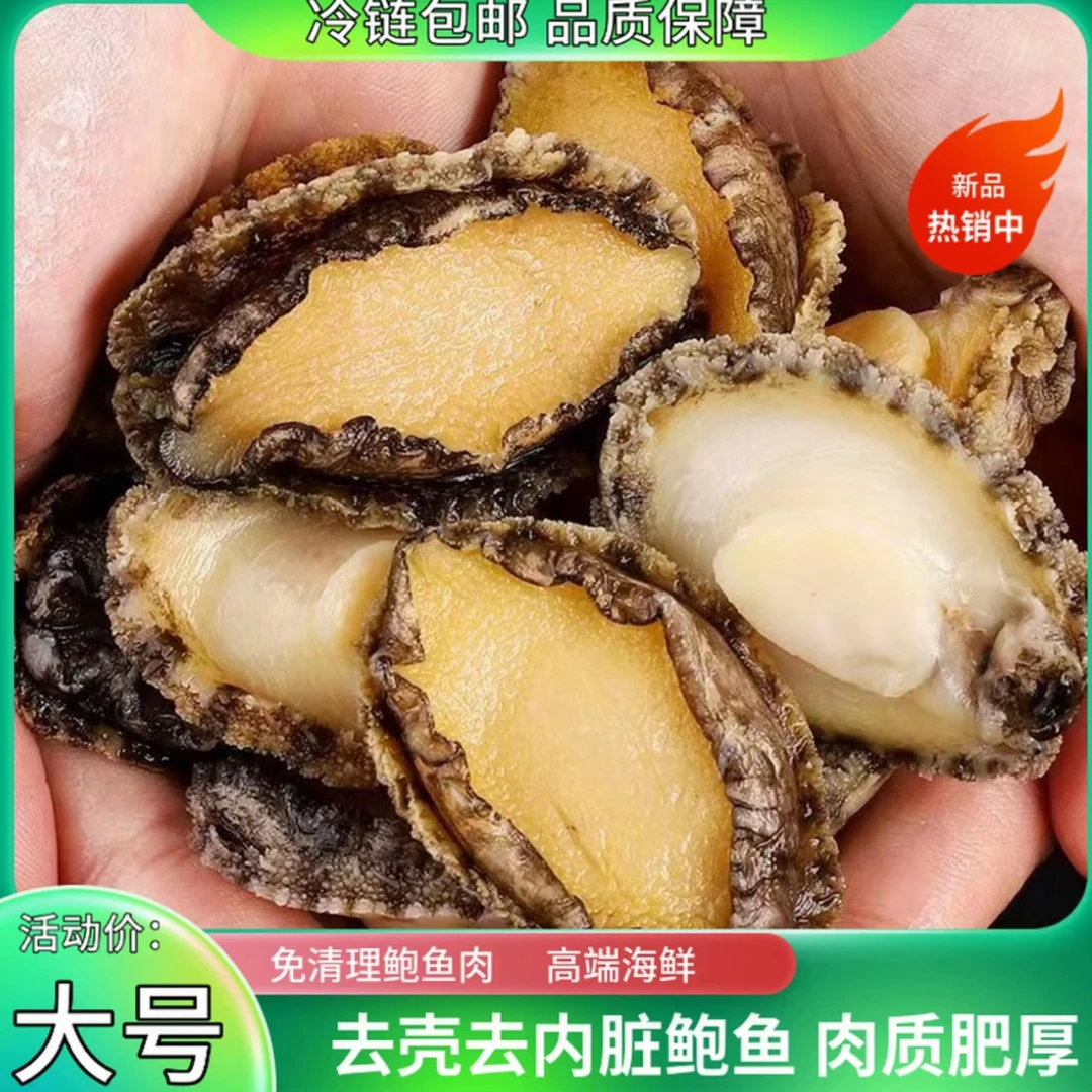 大号鲍鱼肉5-6厘米 纯肉速冻 红烧炖肉 去壳去内脏 顺丰冷链特快