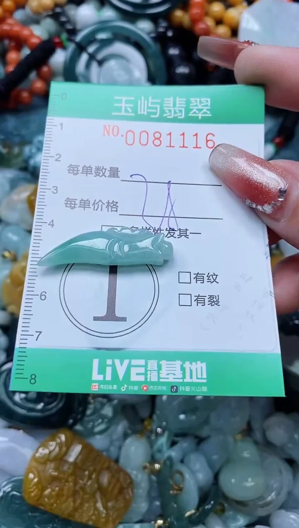 【闪购商品】翡翠颈饰未镶嵌闪购0081116