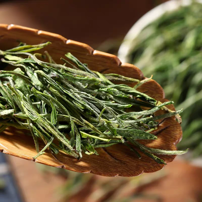 霍山黄芽雨前茶单芽