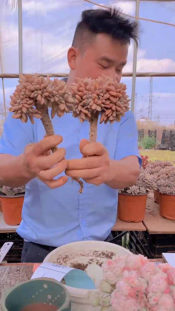 【闪购商品】缀化119