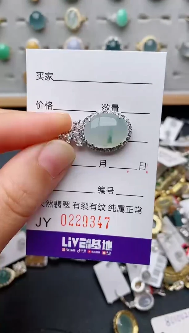 翡翠银S925镶嵌颈饰.