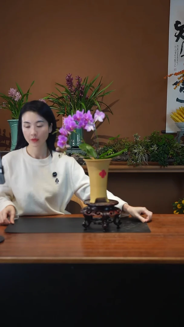 全部花朵粉珠帘盆景盆景盆景