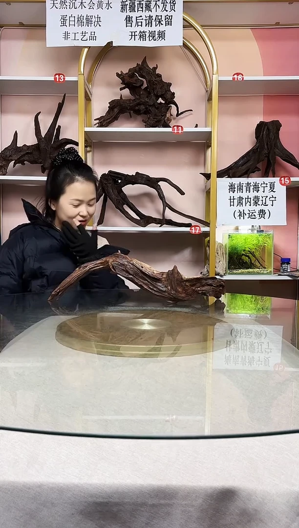 A*鱼缸沉木一物一拍A796