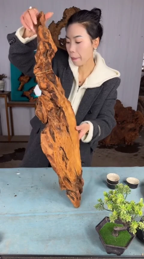 【闪购商品】香杉木木艺杉木瘤随型【原料】011