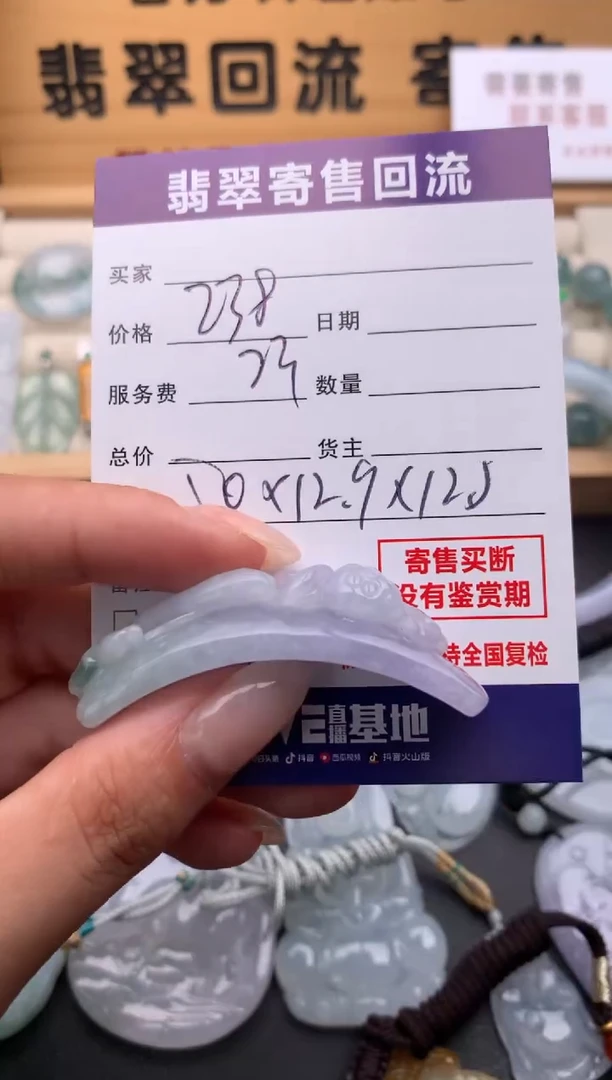翡翠未镶嵌颈饰10135098