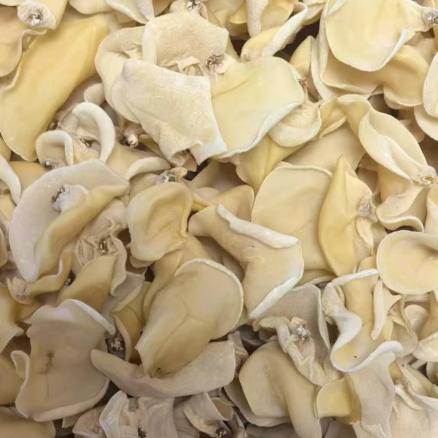 恩施高山 农家白玉耳净含量250克