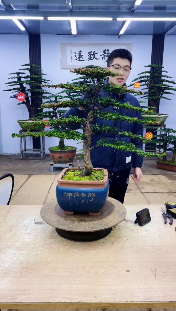 无花朵驱*00000000000000000000