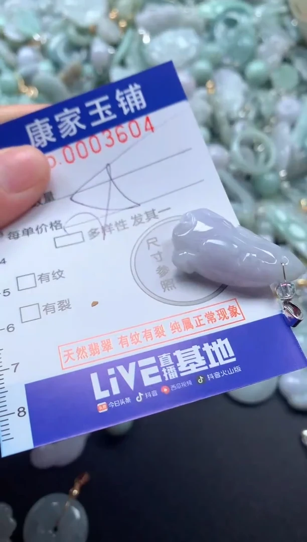 颈饰未镶嵌翡翠3604