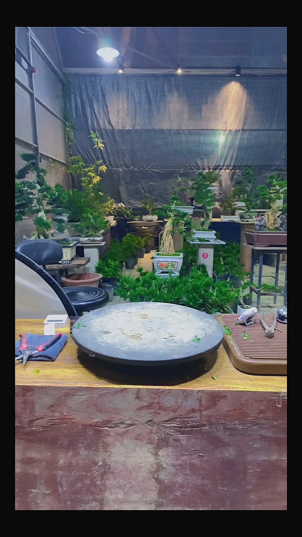 完全开放指***味111111111111