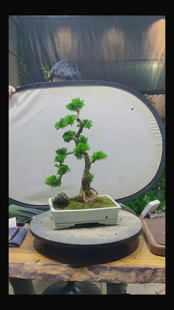 完全开放凯****圃11111111111