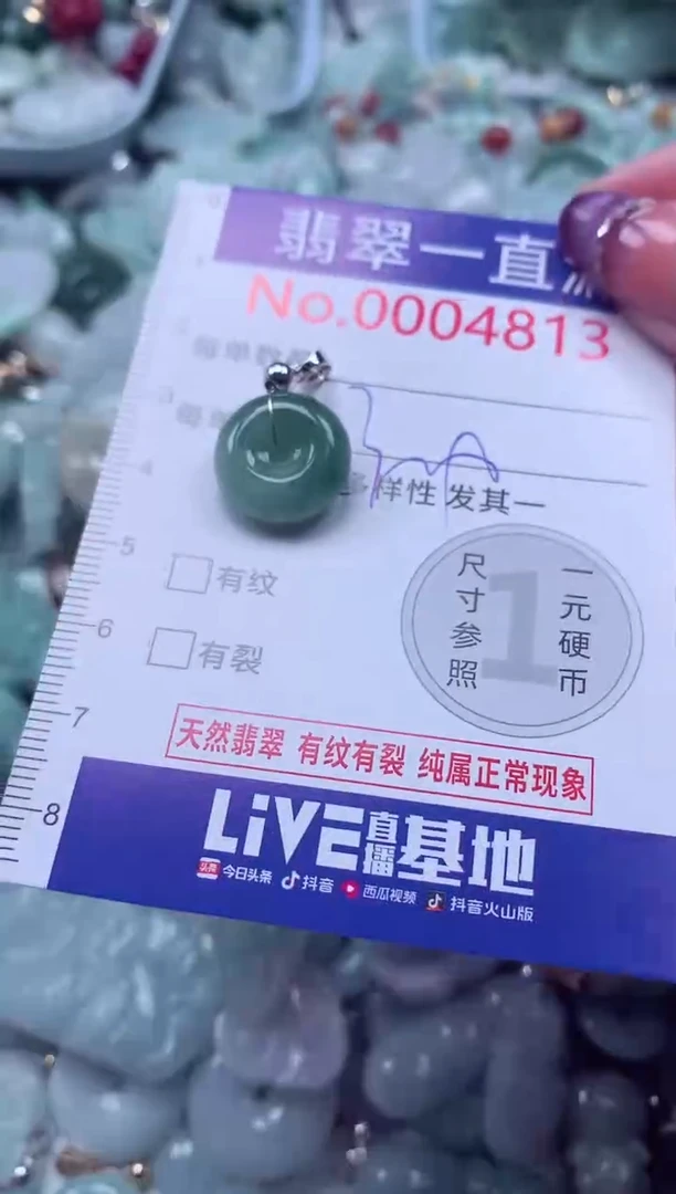 翡翠未镶嵌吊坠(不含链)4813