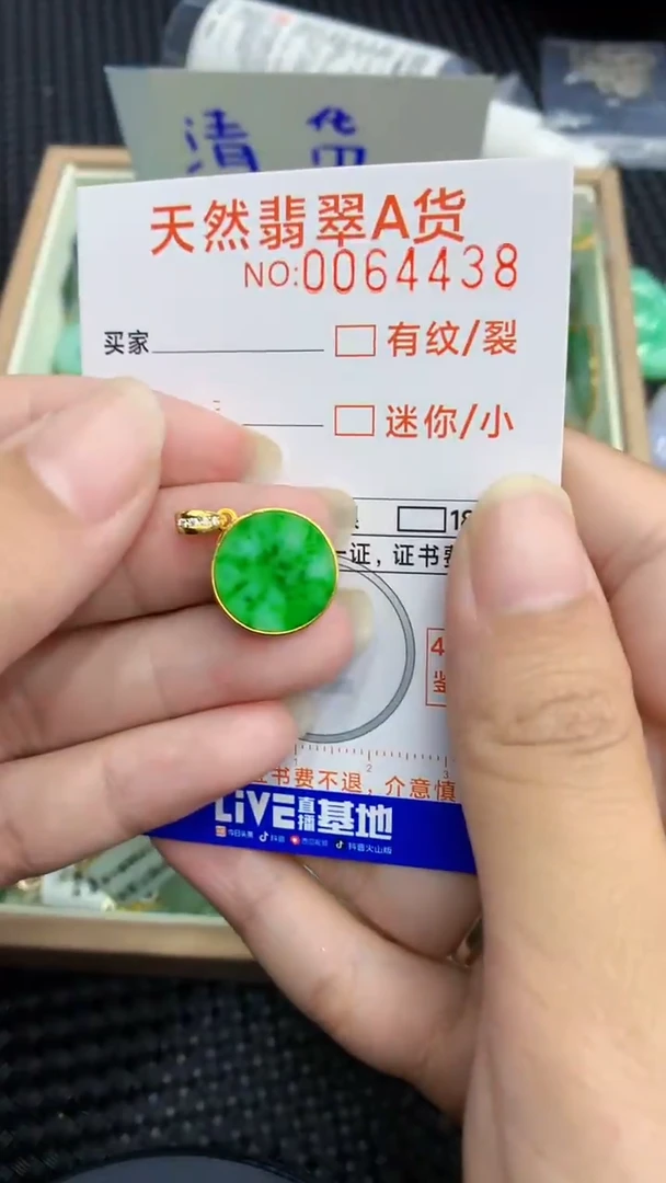 【闪购商品】翡翠颈饰银S925镶嵌            8