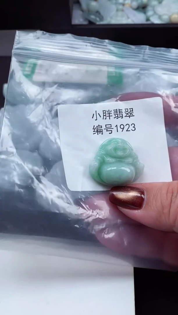 颈饰未镶嵌翡翠缅甸天然A货翡翠1923