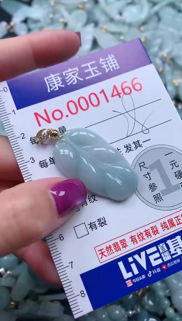 颈饰未镶嵌翡翠1466