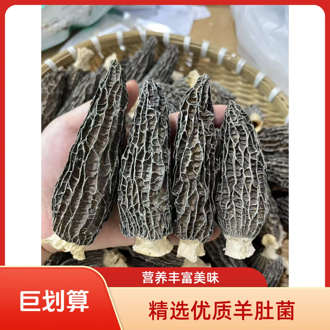2025头茬统货4-9爆干货羊肚菌煲汤(捡漏款)