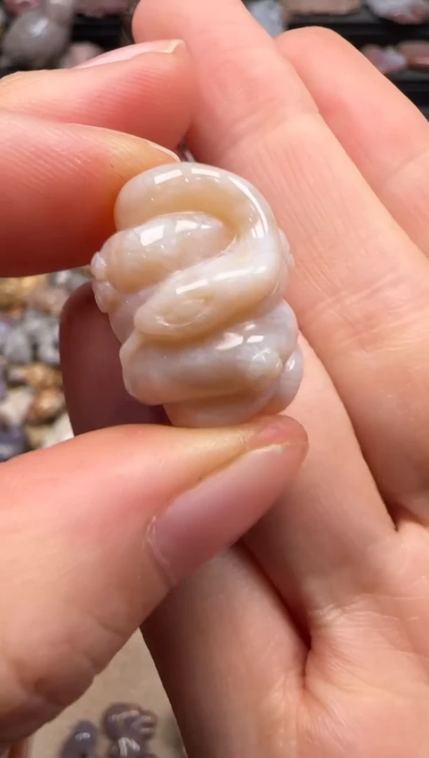 【闪购商品】硅化珊瑚（珊瑚玉）颈饰未镶嵌149