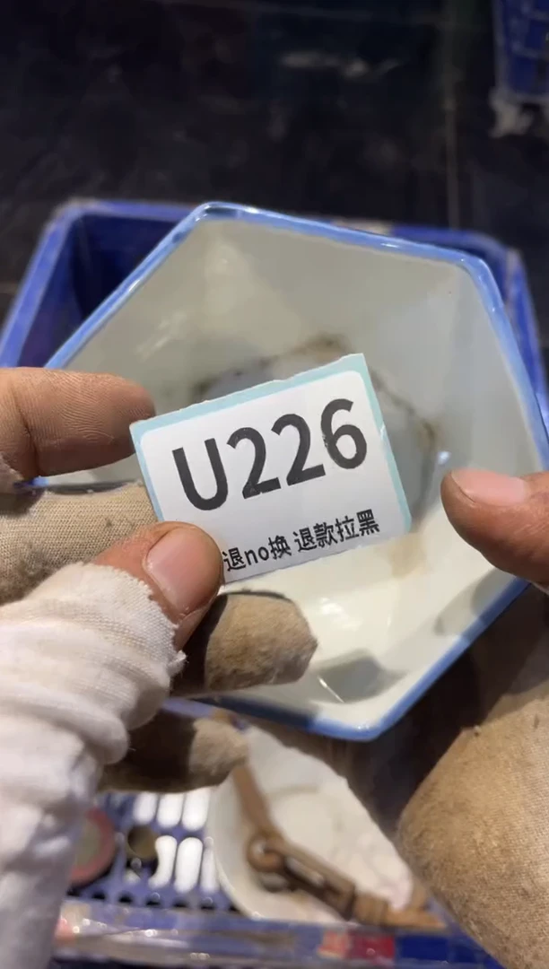 瓷片仰**晨表弟直播链接火爆