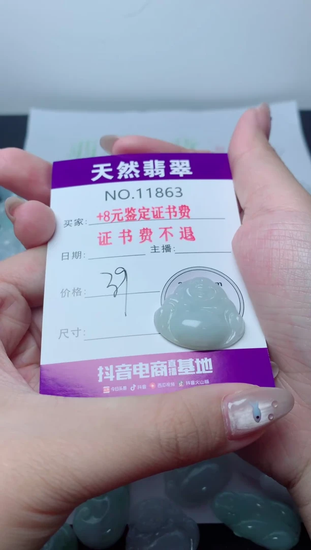 翡翠未镶嵌吊坠(不含链)863