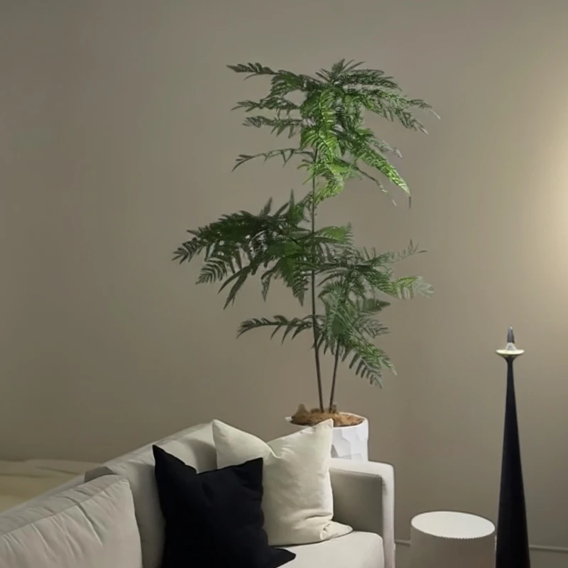 室内外高级网红款蓝花楹