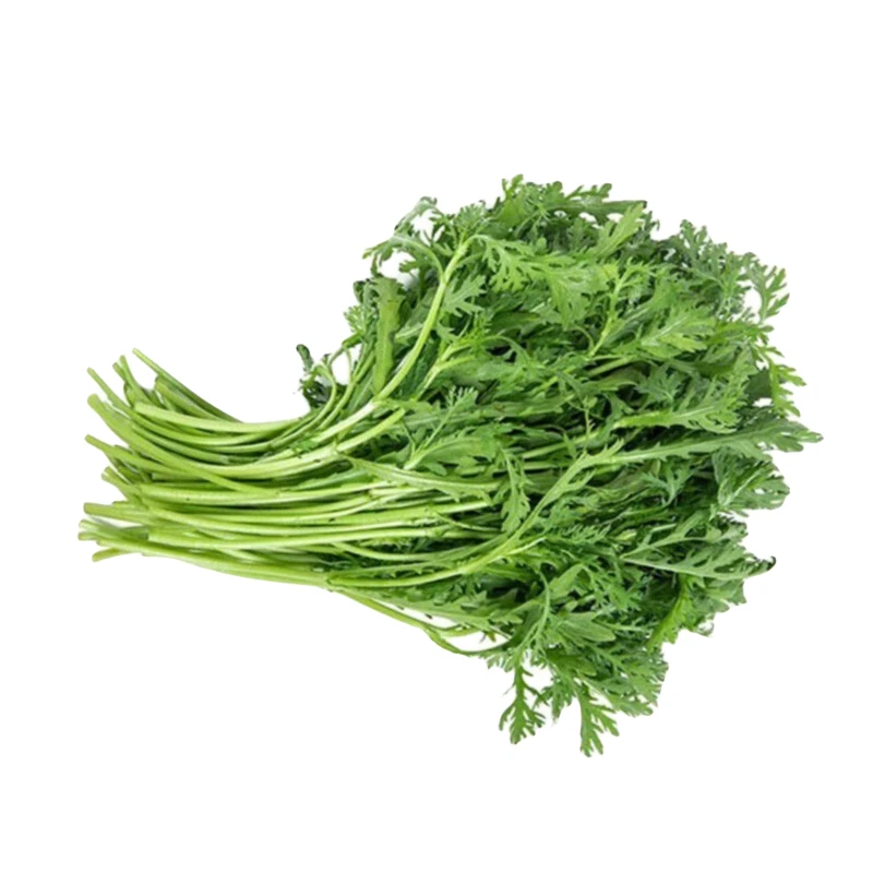 茼蒿 250g±10g/份绿色蔬菜