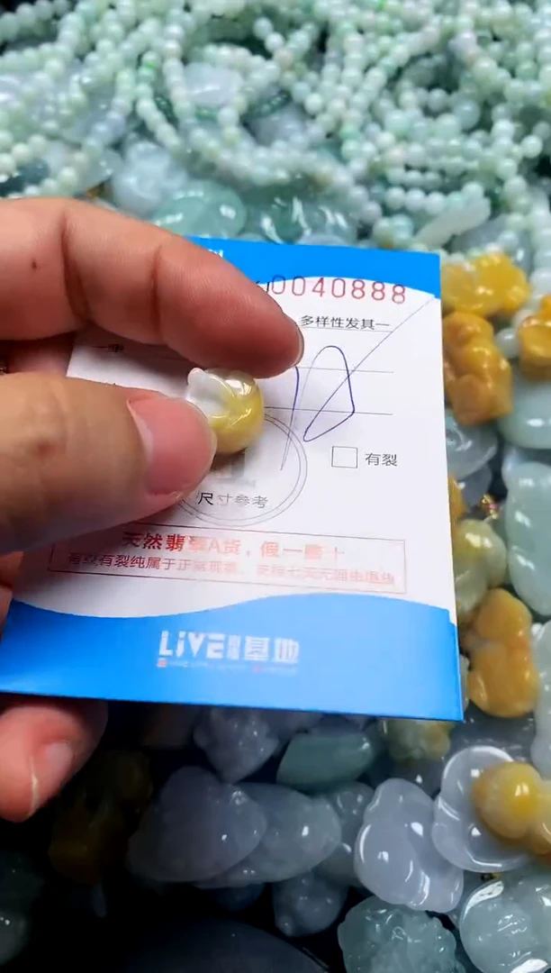 颈饰未镶嵌翡翠闪购商品0040888