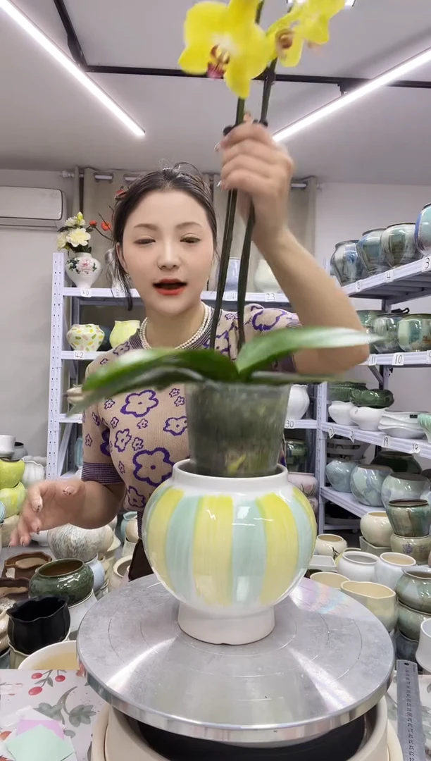 【10.27号】直播链接高：15  ；口：11