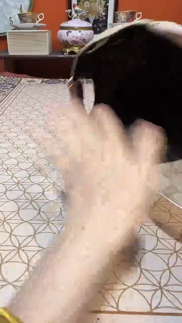 瓷片Y杯杯杯杯杯杯杯杯杯杯杯杯杯杯