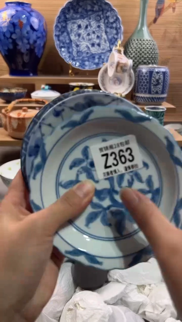 瓷片人**见      Z363