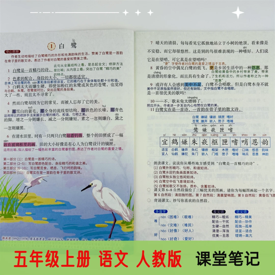课堂笔记五年级上册语文人教版部编版同步课本教材带扫码视频讲解
