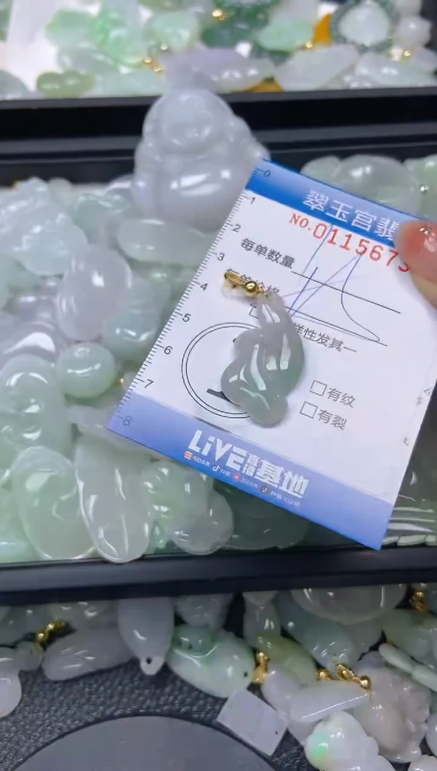 翡翠未镶嵌颈饰闪购0115673