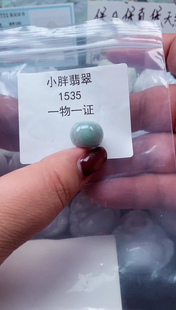 颈饰未镶嵌翡翠缅甸天然A货翡翠1535