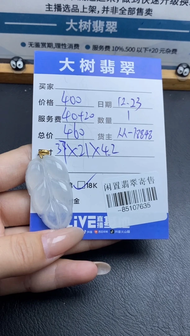 颈饰18K金镶嵌翡翠飞*-85107635