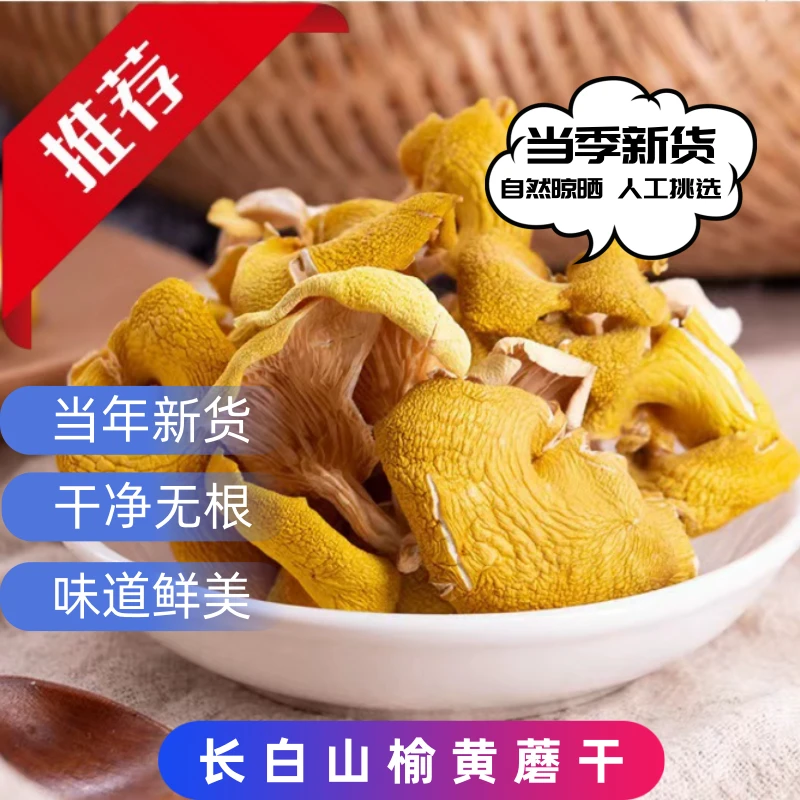 东北特产榆黄蘑干货长白山榆黄蘑当年新货煲汤特产