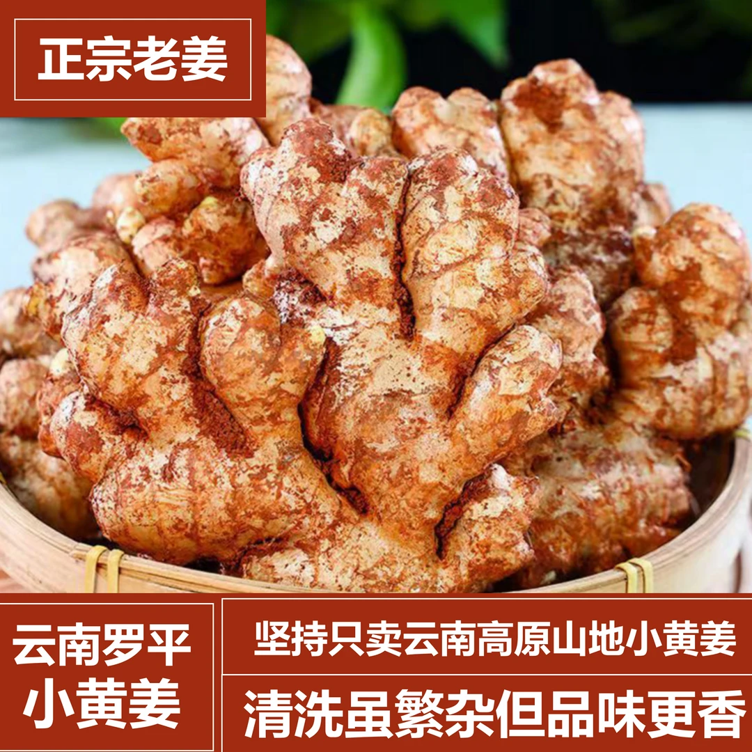 云南小黄姜正宗老姜高原山地姜0.5/1/3/5/9斤 高原蔬菜昆明发货