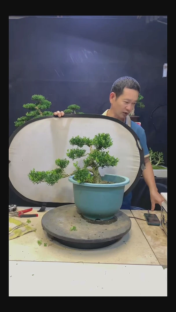 完全开放周*111111