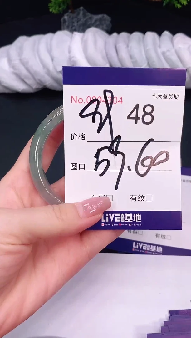 未镶嵌手镯翡翠48