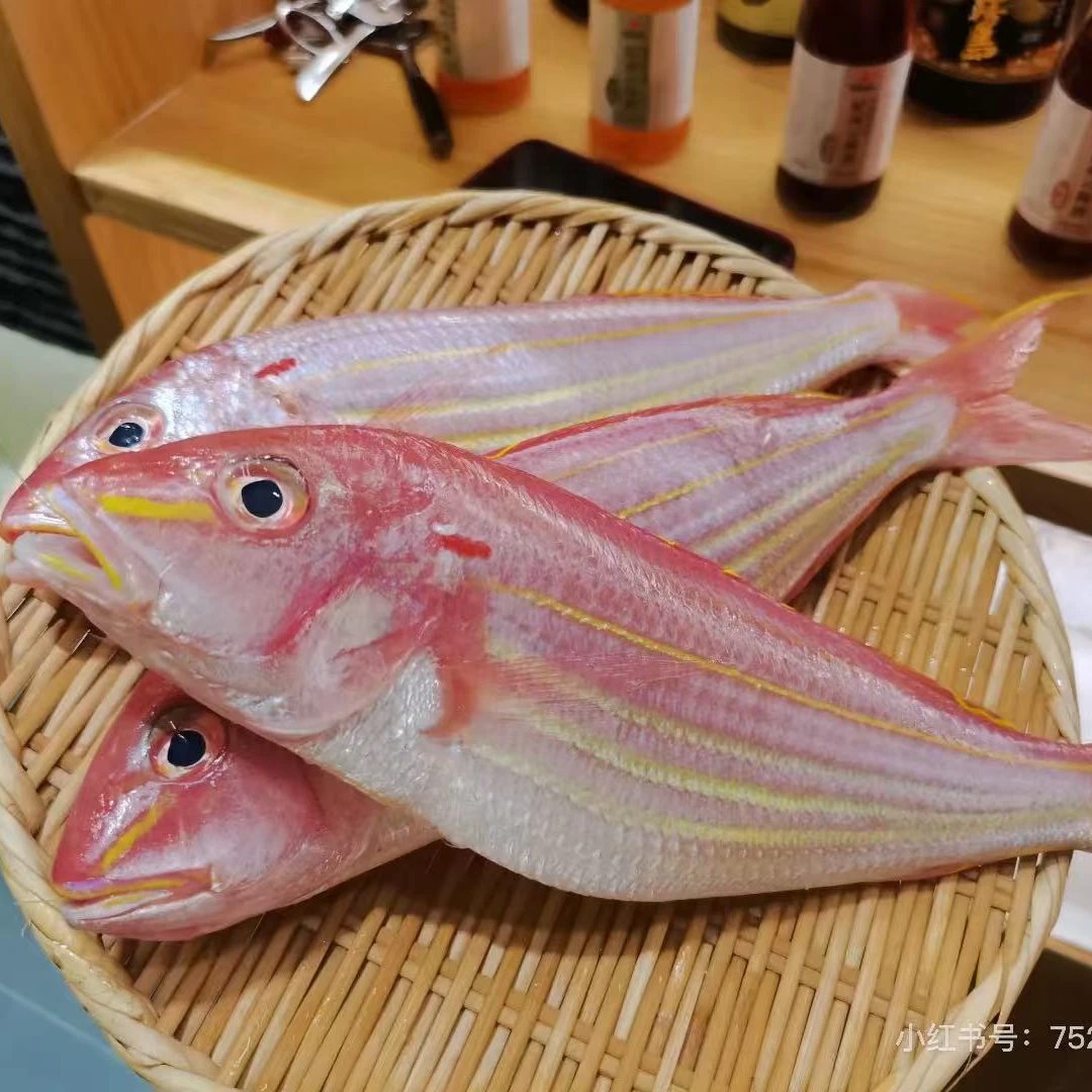 新鲜金线鱼 小的2条（大的一条）