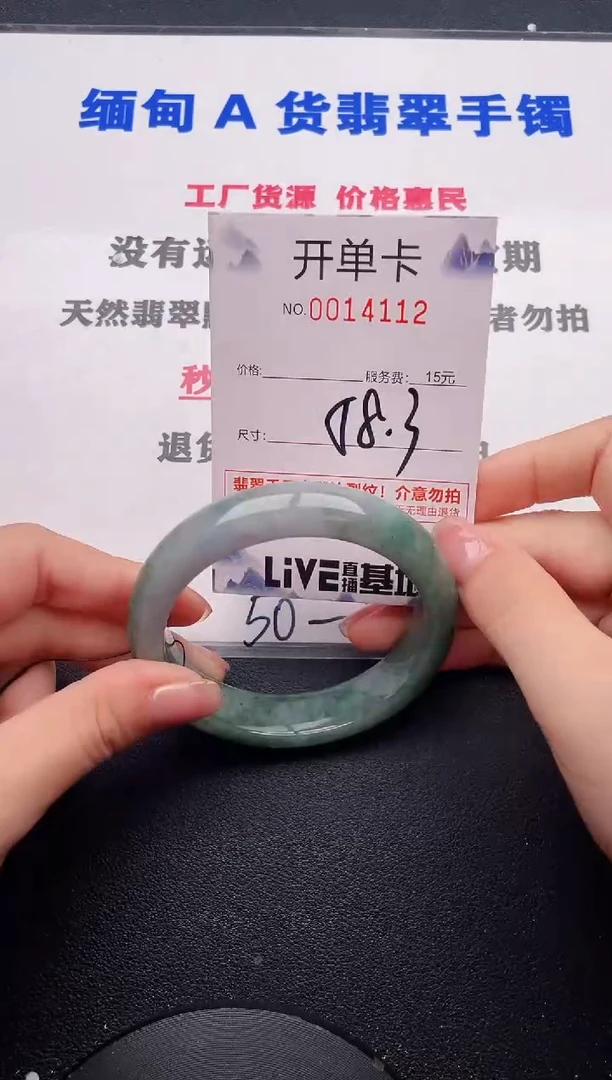 未镶嵌手镯翡翠12